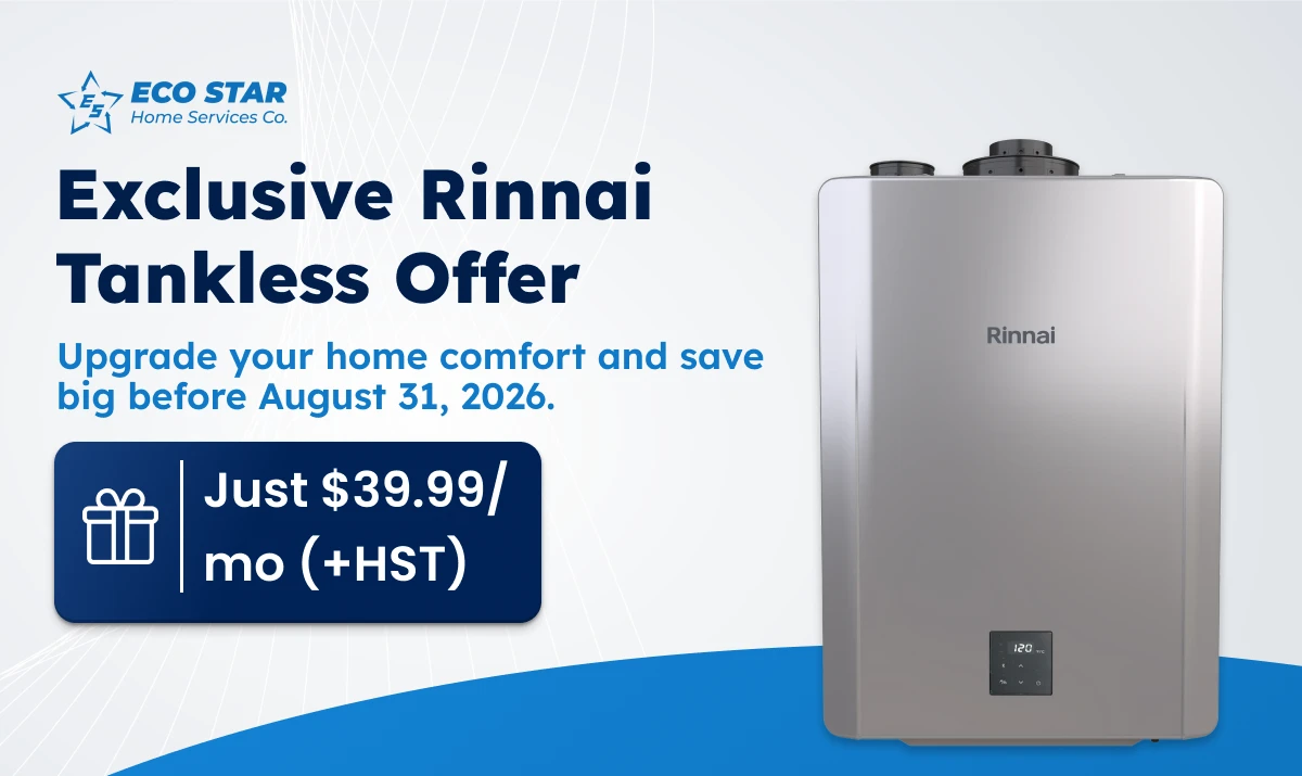 Special Offer